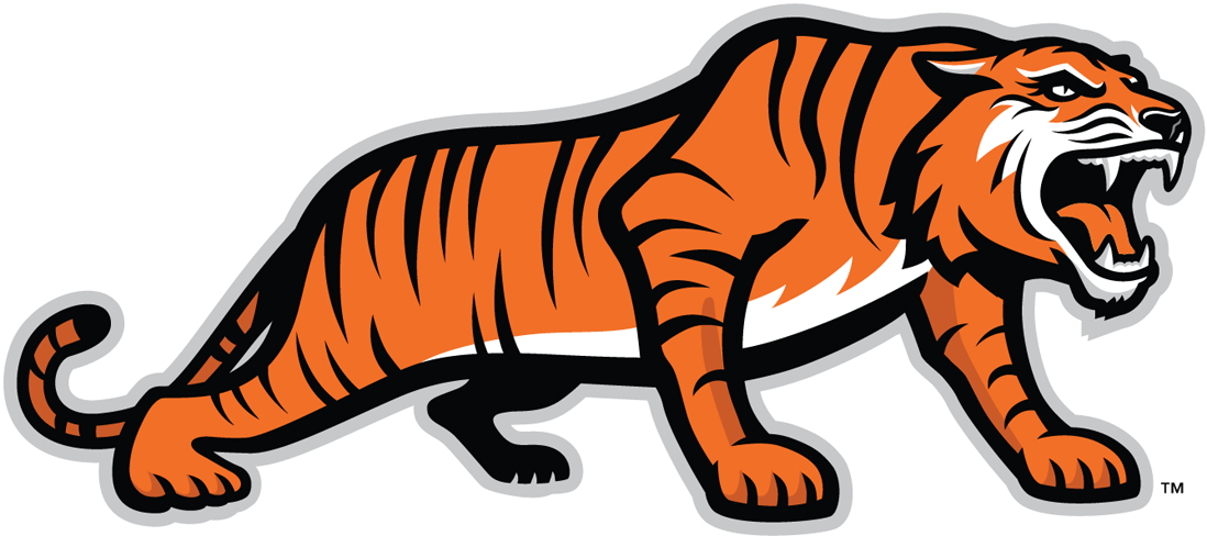 RIT Tigers 2004-Pres Alternate Logo v3 iron on transfers for T-shirts